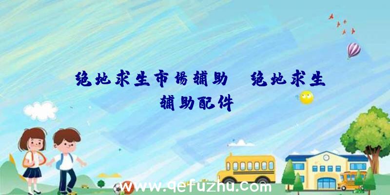 「绝地求生市场辅助」|绝地求生辅助配件